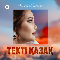 Музыка от Эльмира Шонай