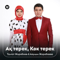 Музыка от Талғат Жорабаев