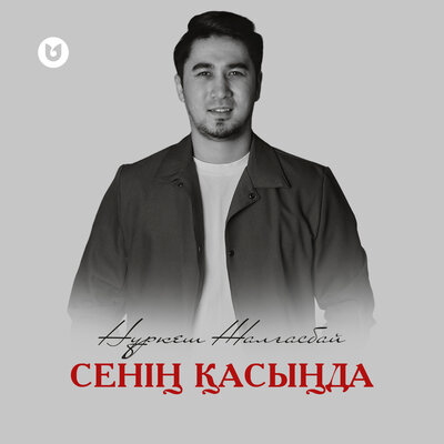 Песня Нұркеш Жалғасбай – Сенің қасыңда