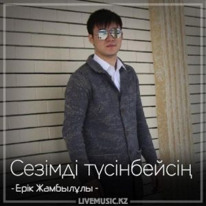 Песня Ерік Жамбылұлы – Сезімді түсінбейсің (2018)