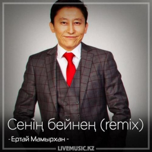 Песня Ертай Мамырхан – Сенің бейнең (remix) (2018)