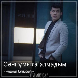 Песня Нұрхат Сегізбай – Сені ұмыта алмадым (2018)