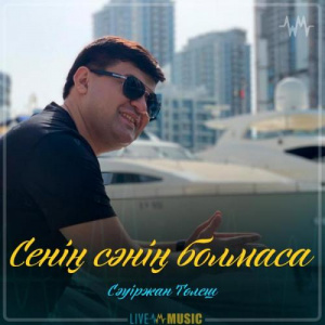 Песня Сәуіржан Төлеш – Сенің сәнің болмаса