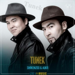 Песня Shakenzoo & Auka – TUNEK