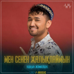 Песня Ұшқын Жамалбек – Мен сенен жалықпаймын
