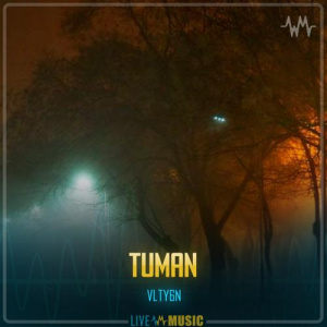 Песня VLTY6N – Tuman