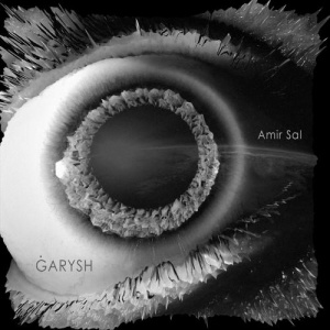 Песня Amir Sal – Ǵarysh