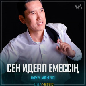 Песня Нүркен Амангелді – Сен идеал емессің