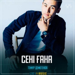 Песня Темур Демегенов – Сені ғана