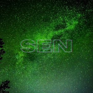 Песня Samerkhan, Kairat Baekenov – Sen (cover)