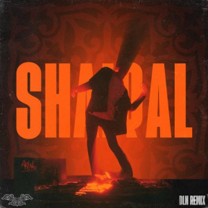 Песня Kuanyshbek Nurgazy, Tahaui, talqan, DLN – SHAIQAL (DLN Remix)