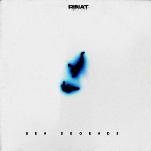 Песня RINAT – Sen degende