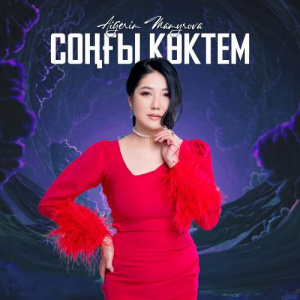 Песня Aigerim Mamyrova – Соңғы көктем