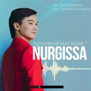 Песня NURGISSA – Бұл сезім не қып ондай