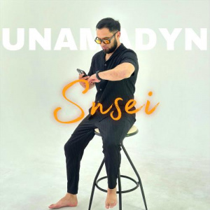Песня Snsei – Unamadyn