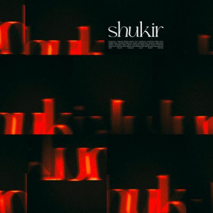 Песня 1nelyk – shukir