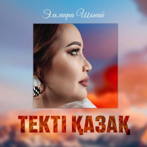 Песня Эльмира Шонай – Текті Қазақ