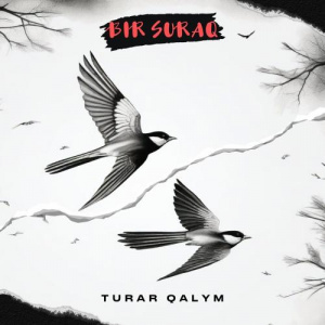 Песня Turar Qalym – Ozgeremin